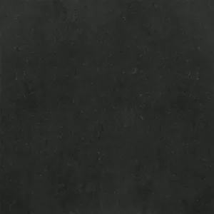 Gạch lát nền Taicera 60x60 P67319N