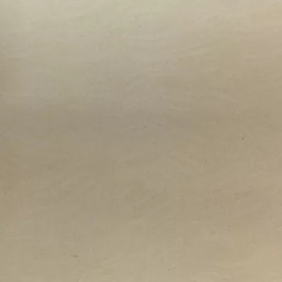 Gạch lát nền Taicera 60x60 P67403N