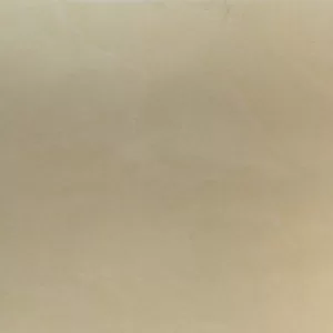 Gạch lát nền Taicera 60x60 P67412N