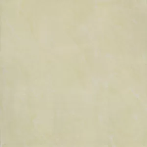 Gạch lát nền Taicera 60x60 P67543N