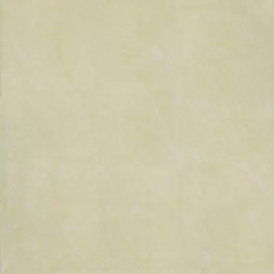 Gạch lát nền Taicera 60x60 P67543N