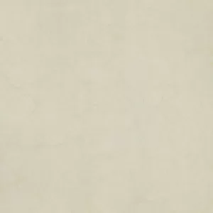 Gạch lát nền Taicera 60x60 P67594N