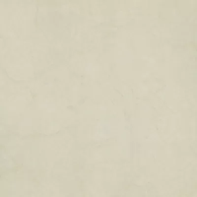 Gạch lát nền Taicera 60x60 P67594N
