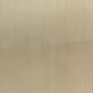Gạch lát nền Taicera 60x60 P67595N