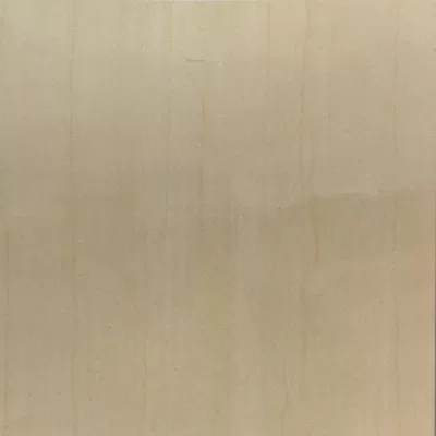 Gạch lát nền Taicera 60x60 P67595N