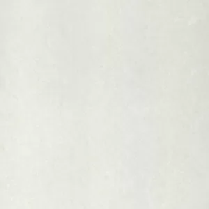 Gạch lát nền Taicera 60x60 P67702N