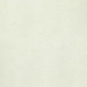 Gạch lát nền Taicera 60x60 P67703N