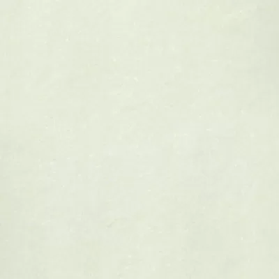 Gạch lát nền Taicera 60x60 P67703N