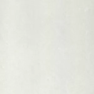 Gạch Taicera 80x80 P87702N