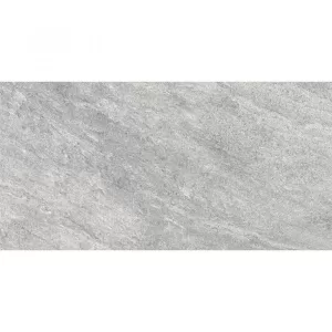 Gạch ốp lát 30×60 Đồng Tâm 3060GECKO004